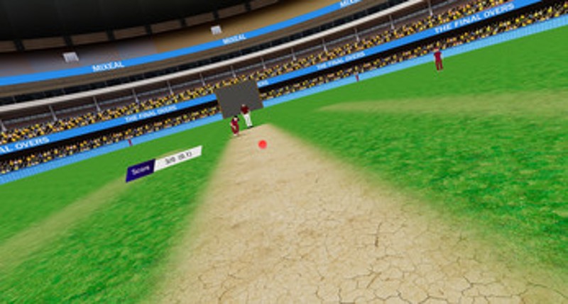 Final Overs - VR Cricket Image