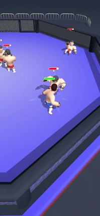 Hyper Wrestler 3D screenshot