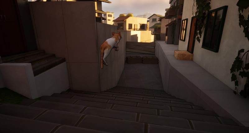 A Lost Whisker Image