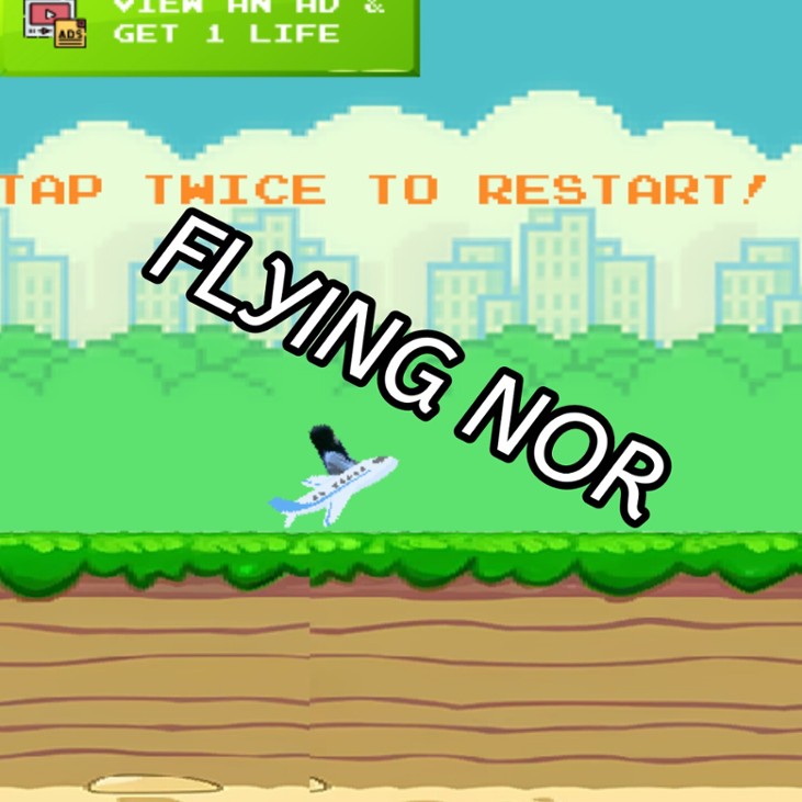Games like Flying Nor