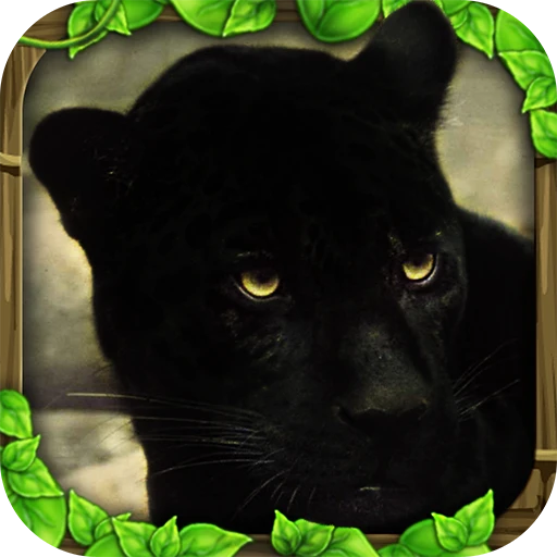 Games like Panther Simulator
