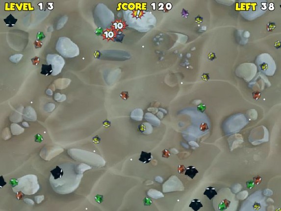 SharkBites Image