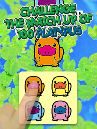 Platypus 100 Mini Adorable Animals Friends | A Matchup Challenge Gamebattles Image
