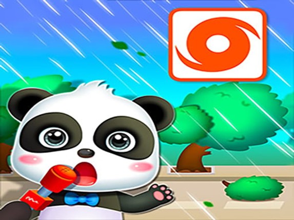 Baby Panda Hurricane Safety Image
