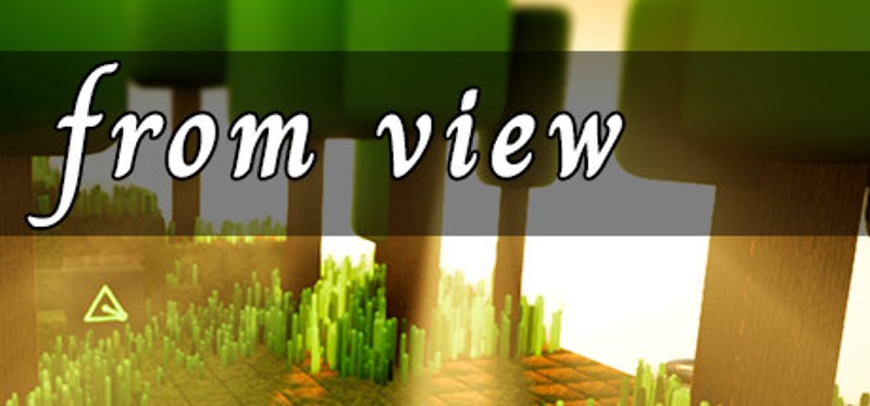 from view Image