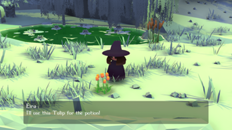 Eira's Potions for the Lost Image