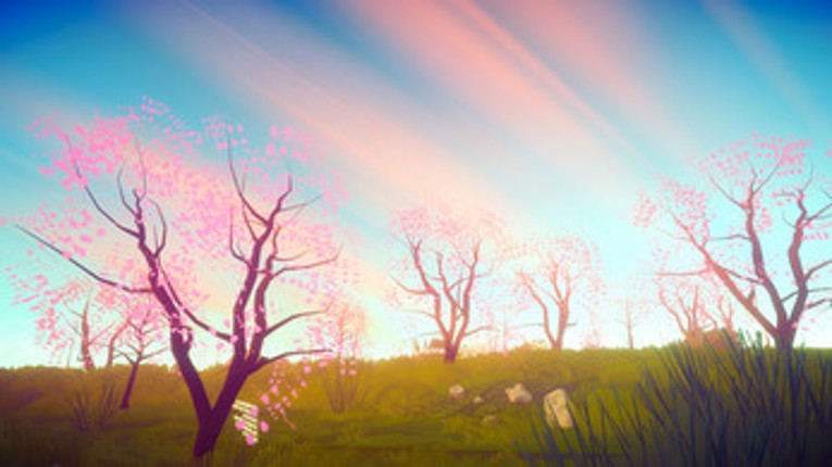The Almond Tree Image