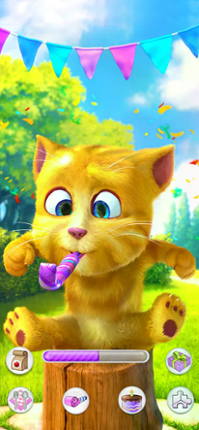 Talking Ginger 2 screenshot