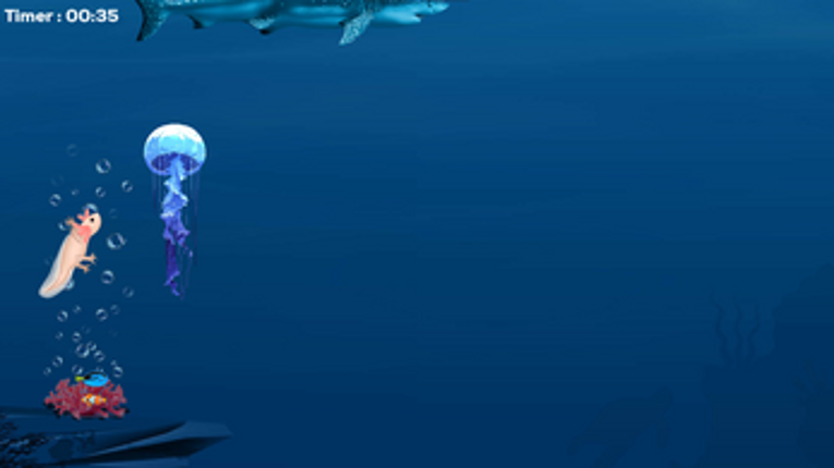 The rise of the Axolotl Image