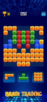 Blok: Classic Block Puzzle 100 screenshot