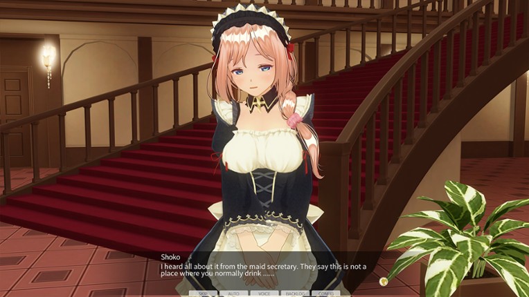 Custom Order Maid 3D 2: Sexy and Ladylike Woman GP01Fb Image