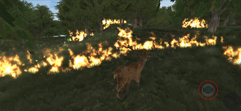 Life Of Deer Remastered Image