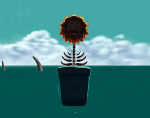 Games like Lost Island