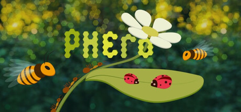 Phero Image
