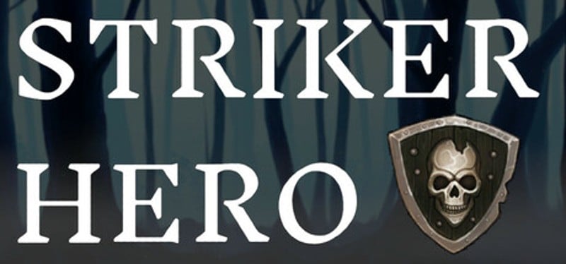 STRIKER HERO Image