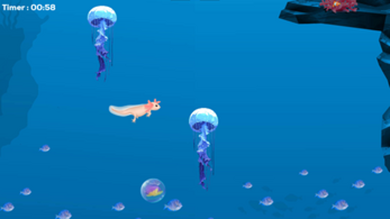 The rise of the Axolotl Image