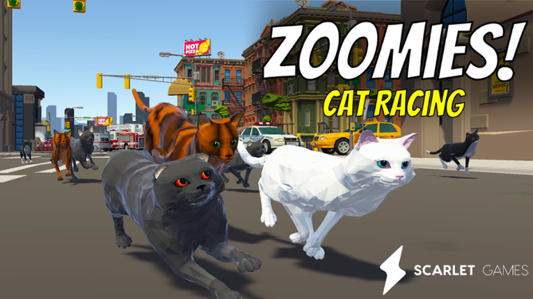 Zoomies! Cat Racing Image