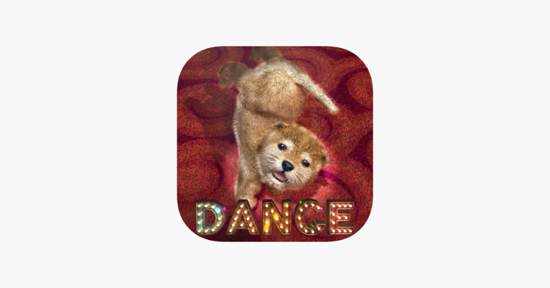 Animal Dance puppies Image