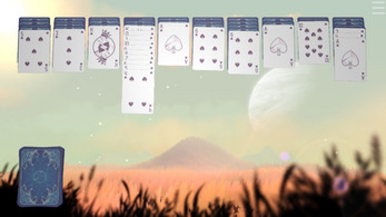 Calm Cards - Spider Image