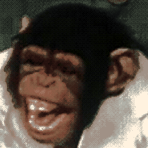 Games like Tetrageddon Games