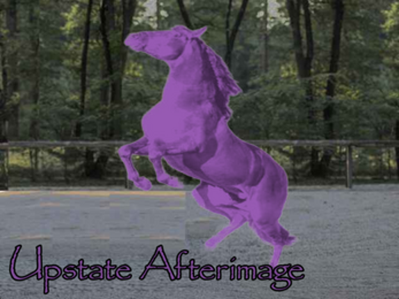 Horse Race Test Maker Image
