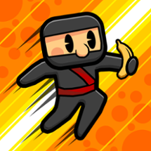 Parakite Ninja Image