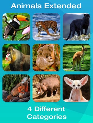Safari and Jungle Animal Picture Flashcards for Babies, Toddlers or Preschool (Free) Image
