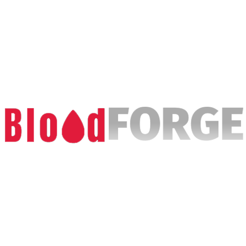 Games like Blood Forge