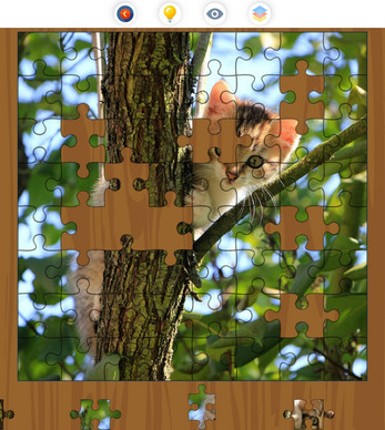 Jigsaw Galaxy: Cats Edition screenshot