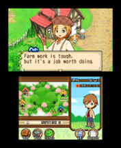 Harvest Moon: The Tale of Two Towns Image