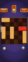 Unblock Puzzle Pro Image