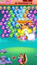 2016 Shoot Bubble pets HD Image