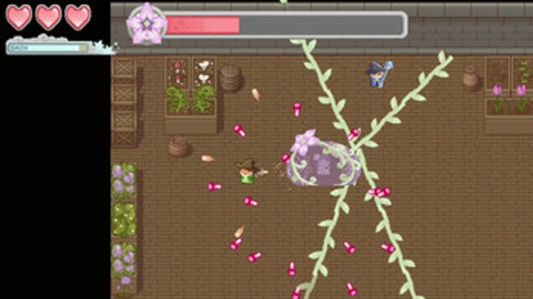 Adventures of the Apprentice II Image