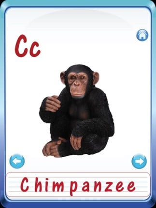 Baby Animals &amp; Birds English ABC Alphabets Flash Cards for preschool kindergarten boys &amp; girls apps Image