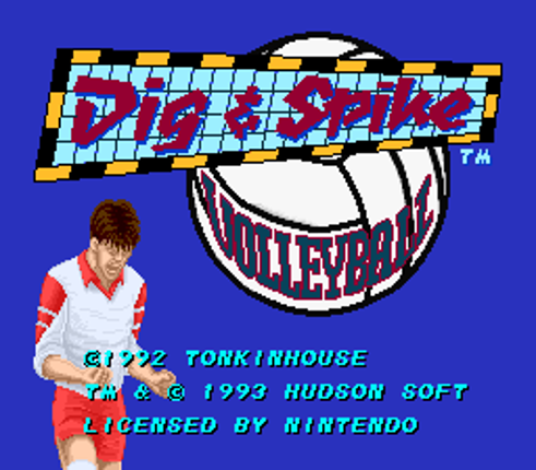 Dig & Spike Volleyball Image