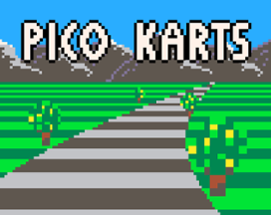 Pico Karts Image