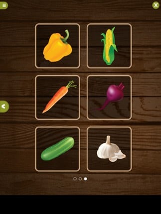 Learning about vegetables screenshot