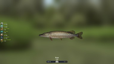 Trophy Fishing 2 Image