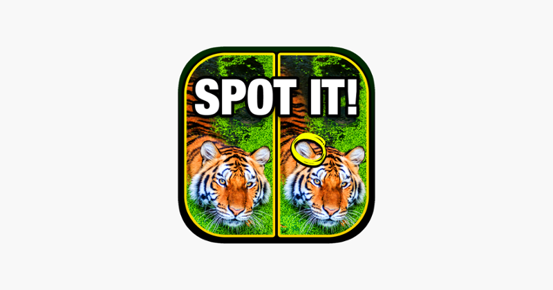What's the Difference? Spot It Game Cover