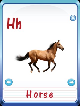 Baby Animals &amp; Birds English ABC Alphabets Flash Cards for preschool kindergarten boys &amp; girls apps screenshot