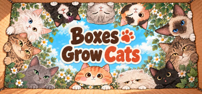 Boxes Grow Cats Image