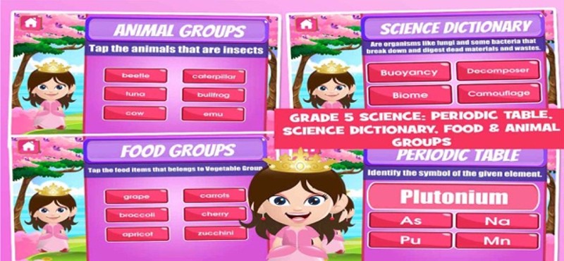 Princess Fifth Grade Games screenshot