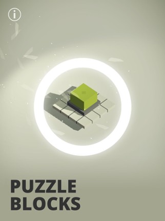 Puzzle Blocks screenshot