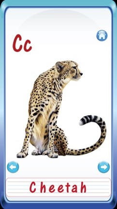 Baby Animals &amp; Birds English ABC Alphabets Flash Cards for preschool kindergarten boys &amp; girls apps screenshot