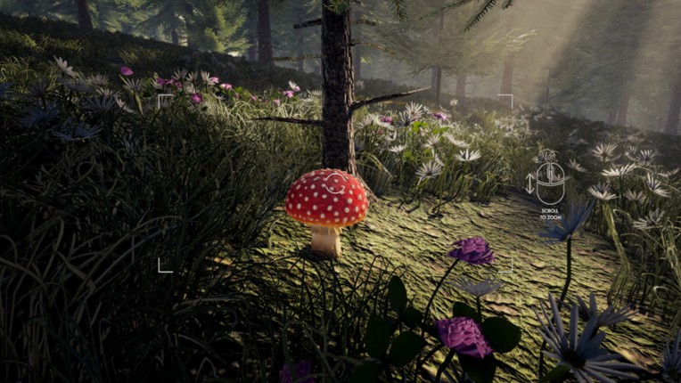 Forager's Finds screenshot