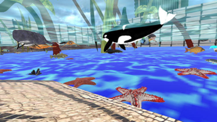 ZOSU Zoo VR on PicoXR Image
