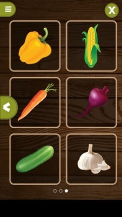 Learning about vegetables screenshot