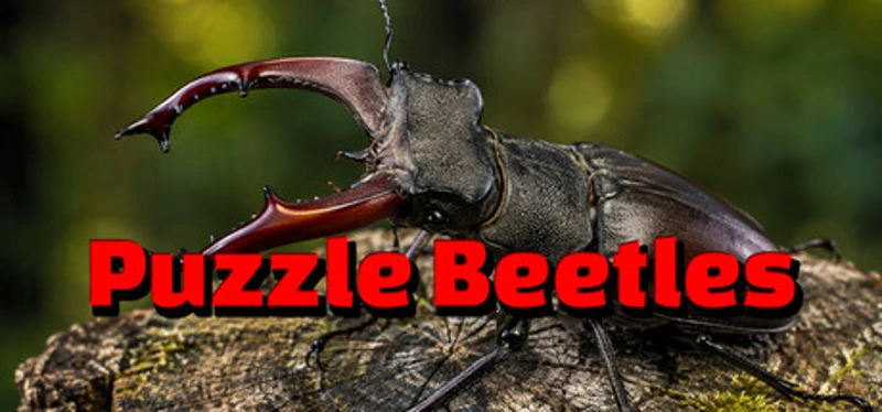 Puzzle Beetles Image