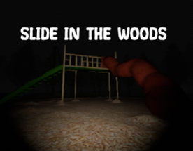 Slide in the woods Image