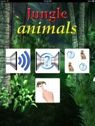 Sounds of Jungle Image
